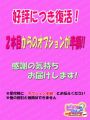 お得なオプション割引２個めからは半額に♪